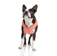 Gooby | Comfort-X Dual Snap