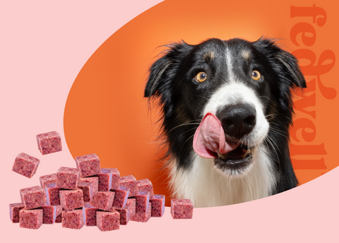 Fedwell | Cubes | Beef