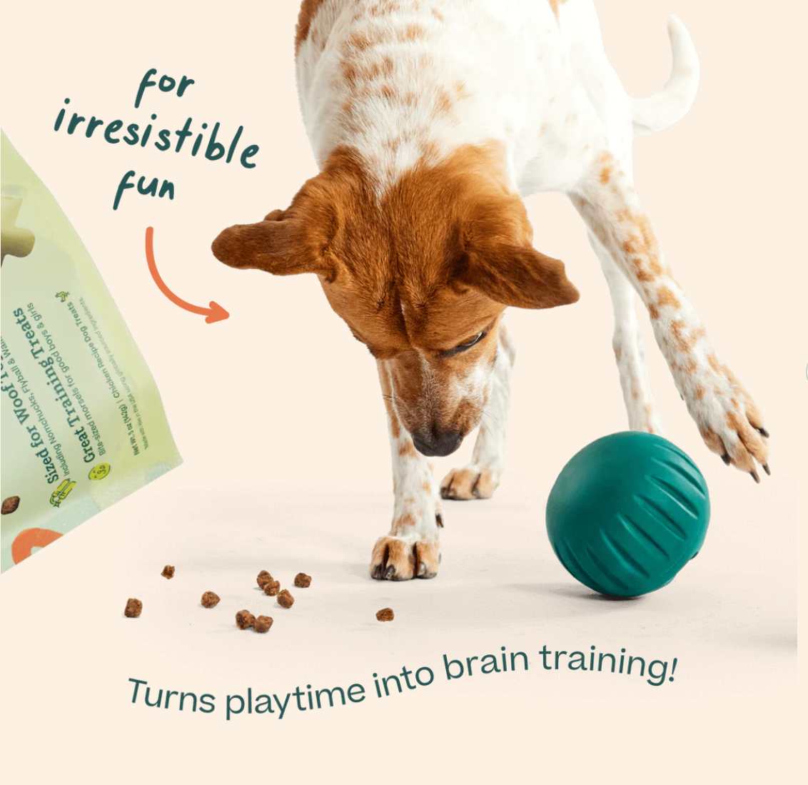 Woof | Forager Treats