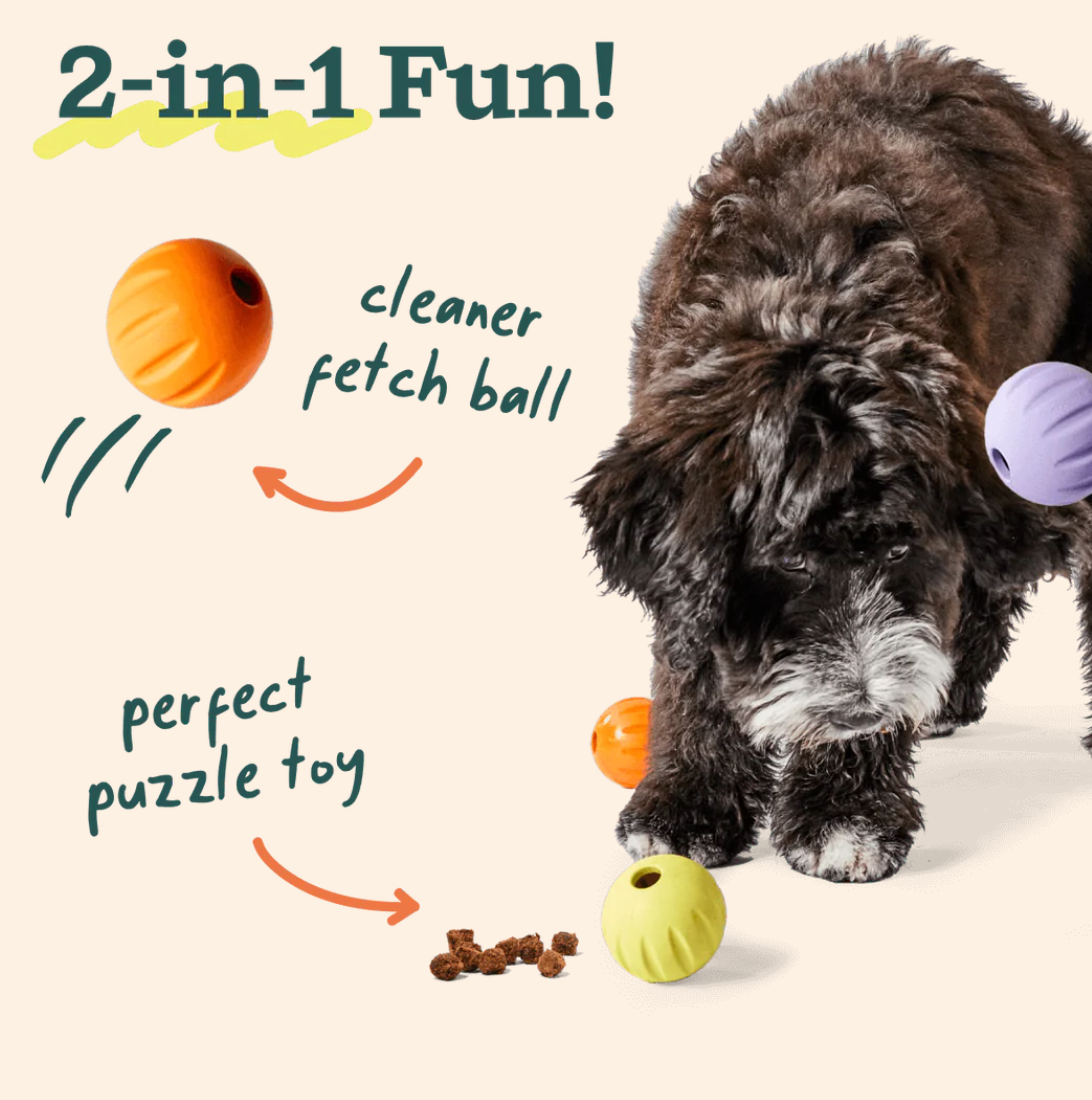 Woof | Forager | Flyball