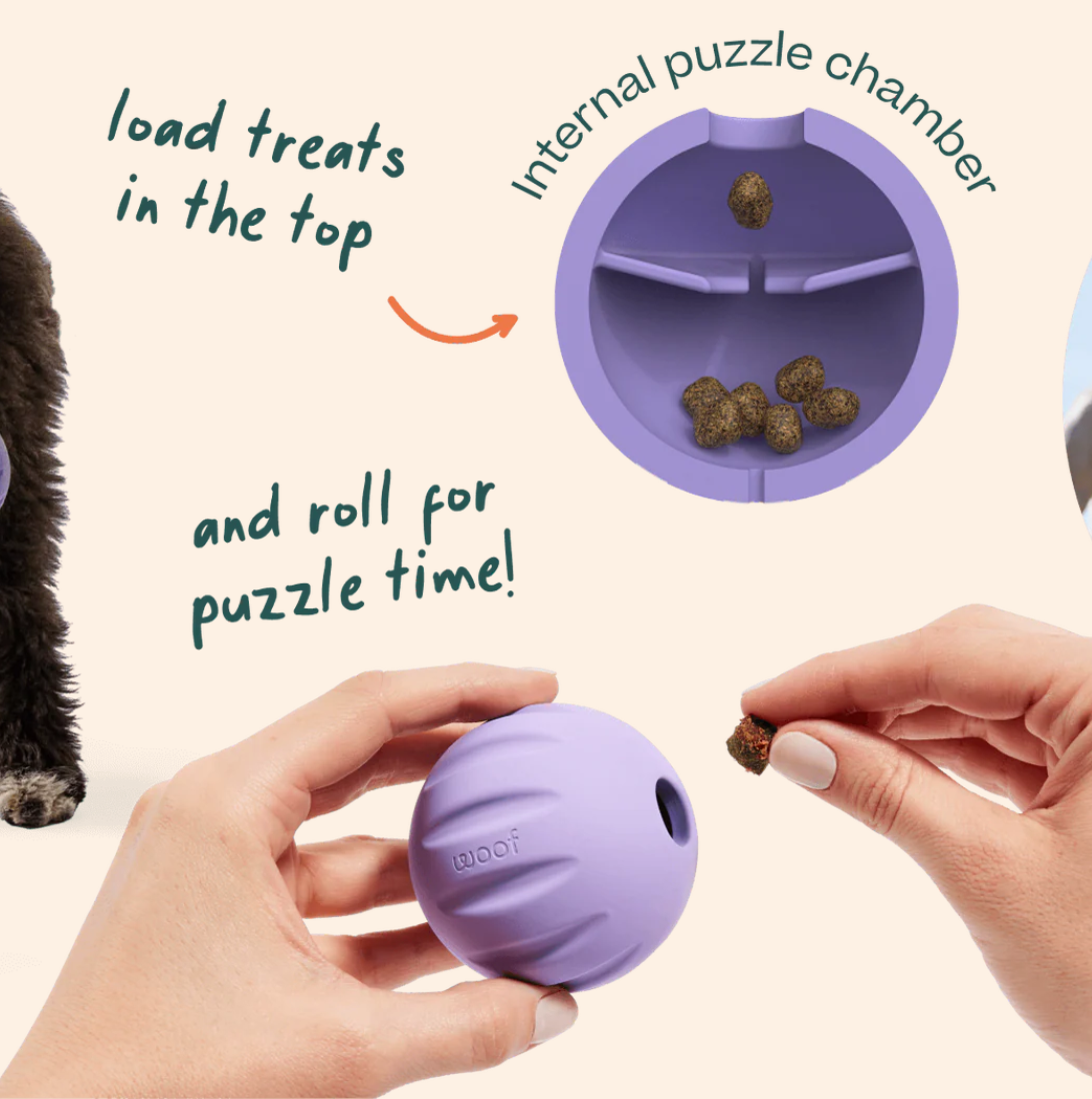 Woof | Forager | Flyball