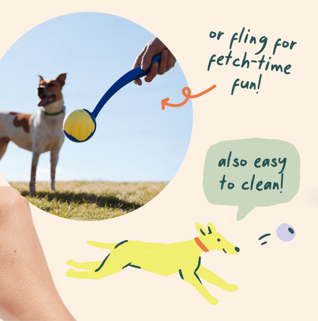 Woof | Forager | Flyball