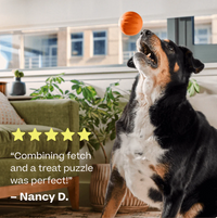 Woof | Forager | Flyball