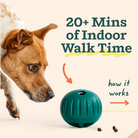 Woof | Forager | Walkabout