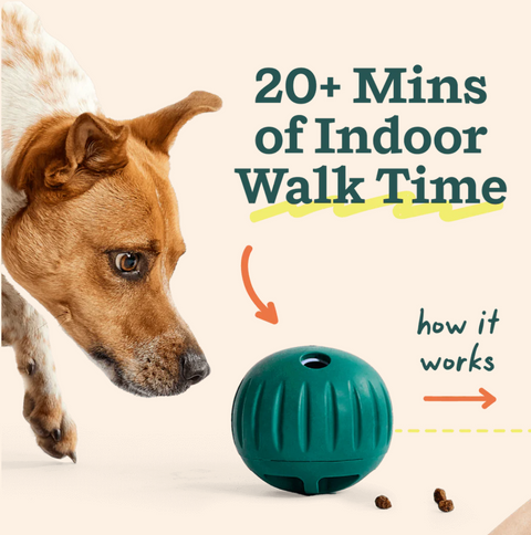 Woof | Forager | Walkabout