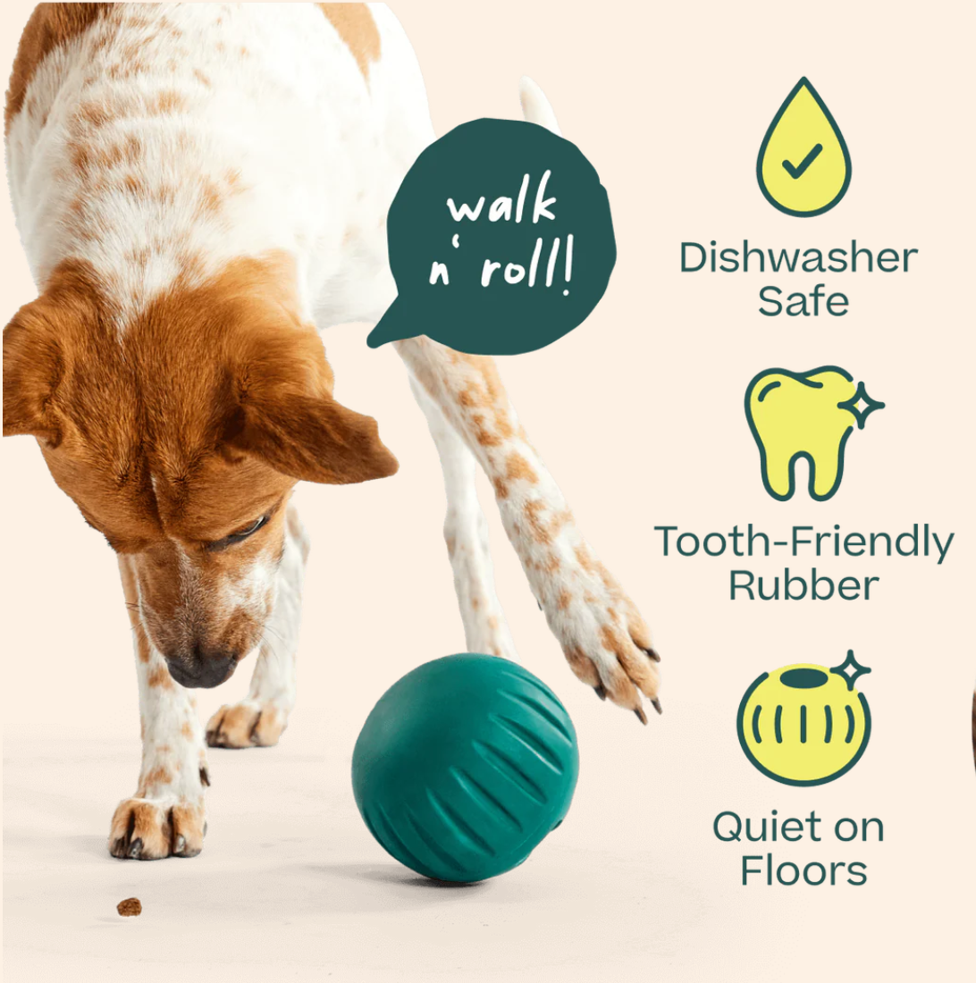 Woof | Forager | Walkabout