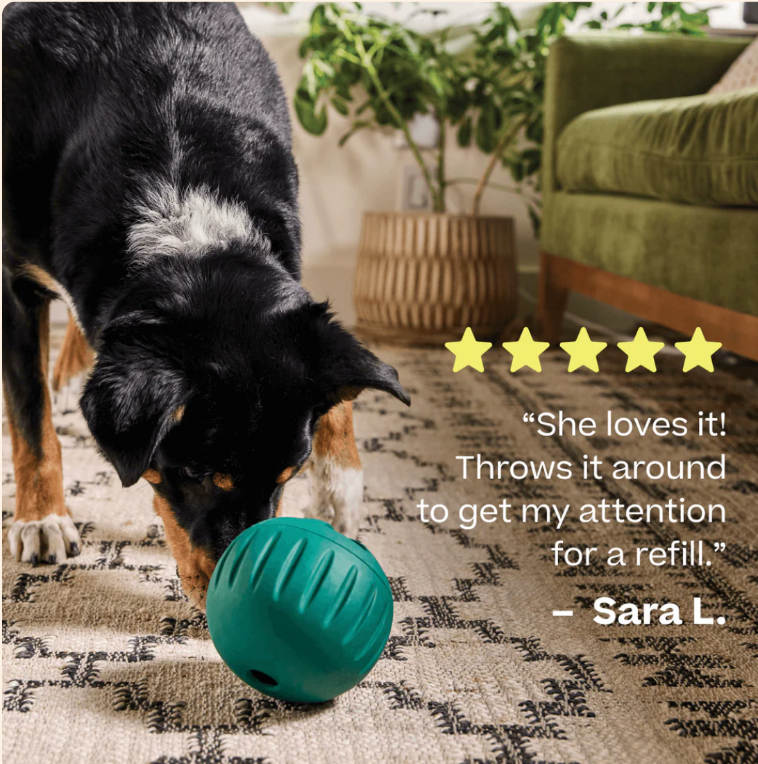 Woof | Forager | Walkabout