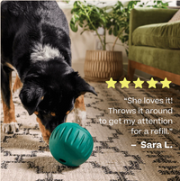 Woof | Forager | Walkabout