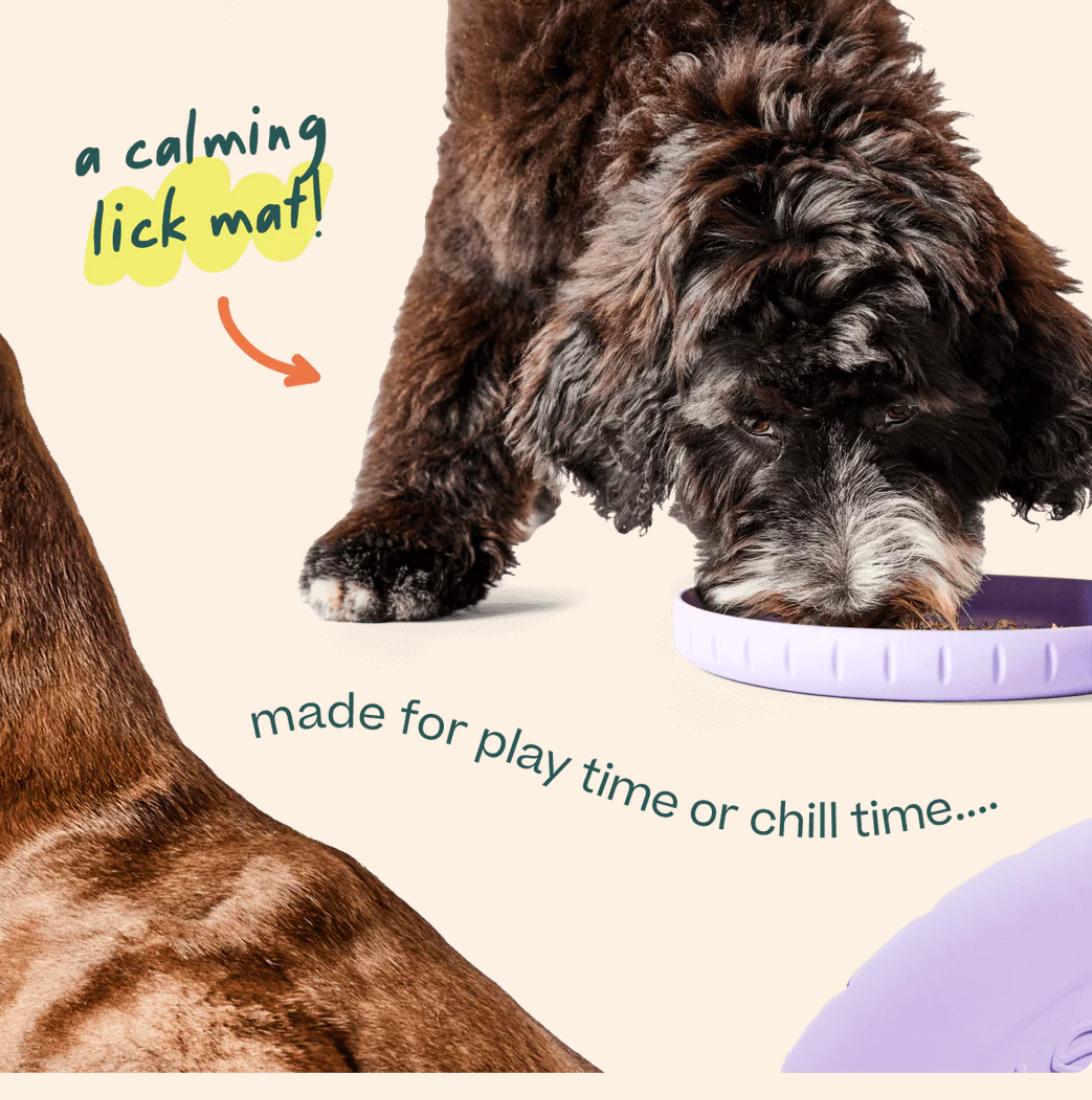 Woof | Forager | Fly N Feed