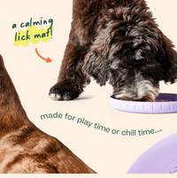 Woof | Forager | Fly N Feed