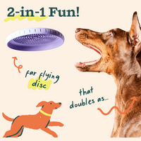 Woof | Forager | Fly N Feed