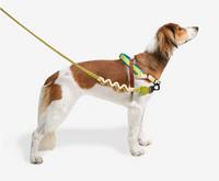 Avocado | SofterWalk Harness