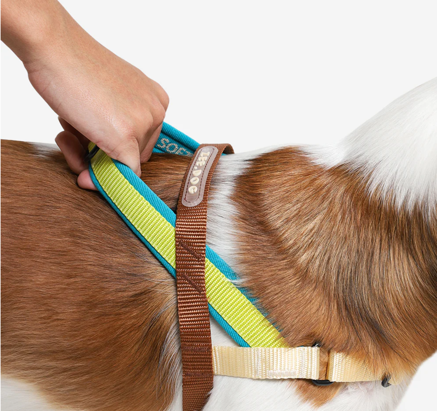 Avocado | SofterWalk Harness