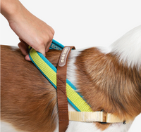 Avocado | SofterWalk Harness