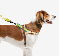Avocado | SofterWalk Harness
