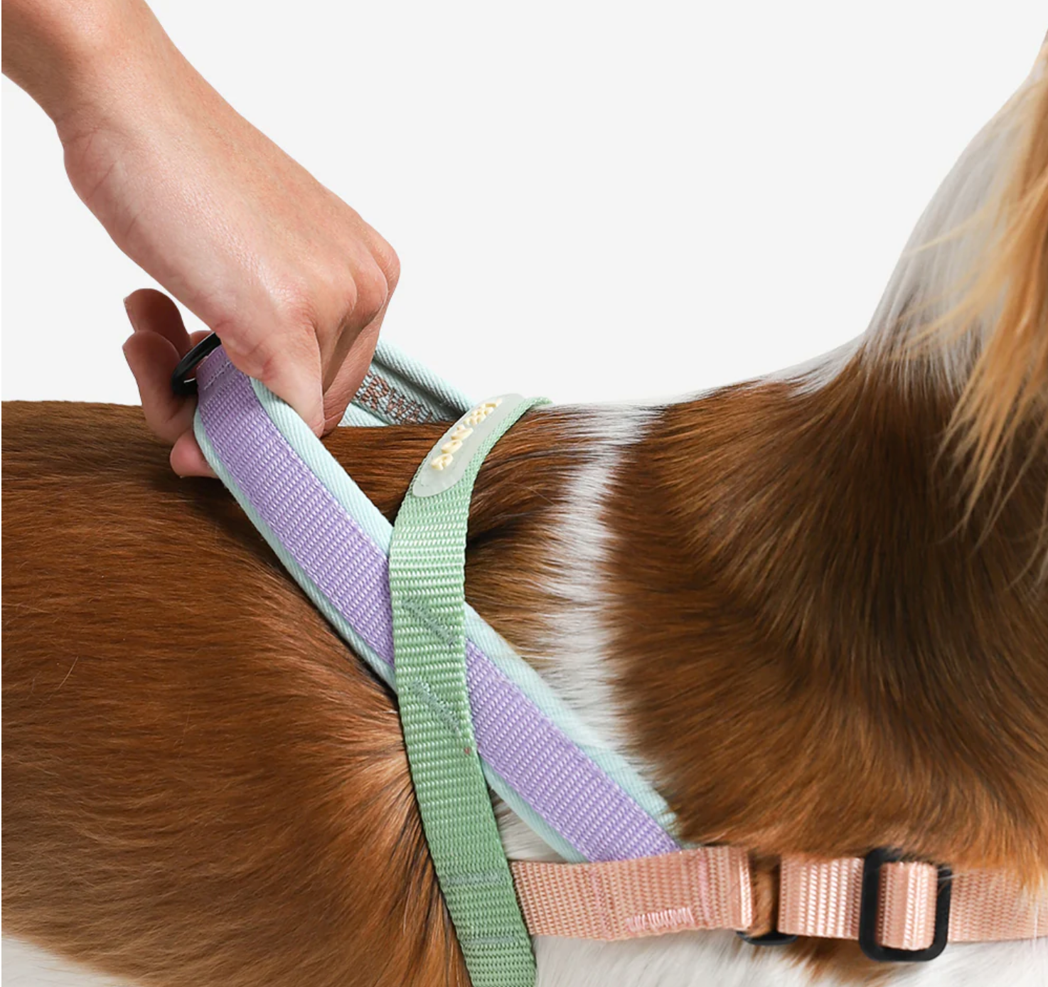 Peach | SofterWalk Harness