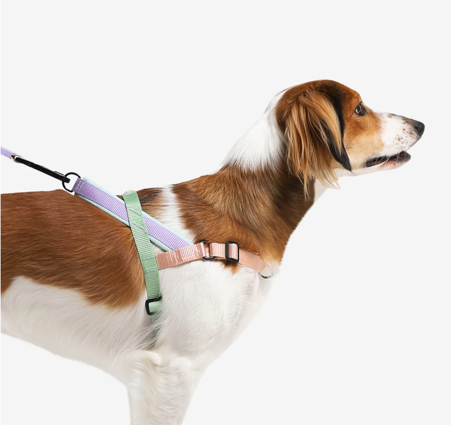 Peach | SofterWalk Harness