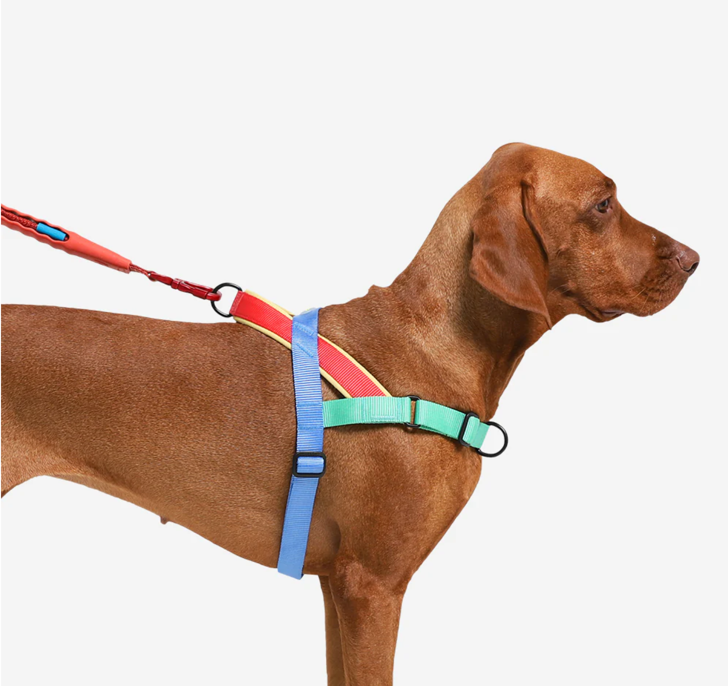 Mellow | SofterWalk Harness