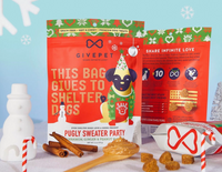 GivePet | Pugly Sweater Party