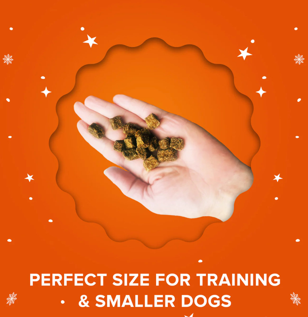 Plato Pet | Holiday Roast Treats