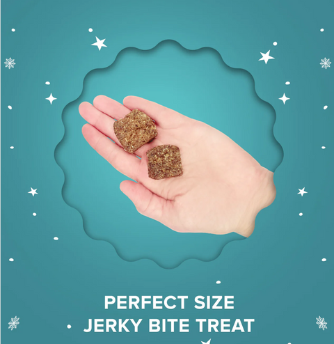 Plato Pet | Holiday Feast