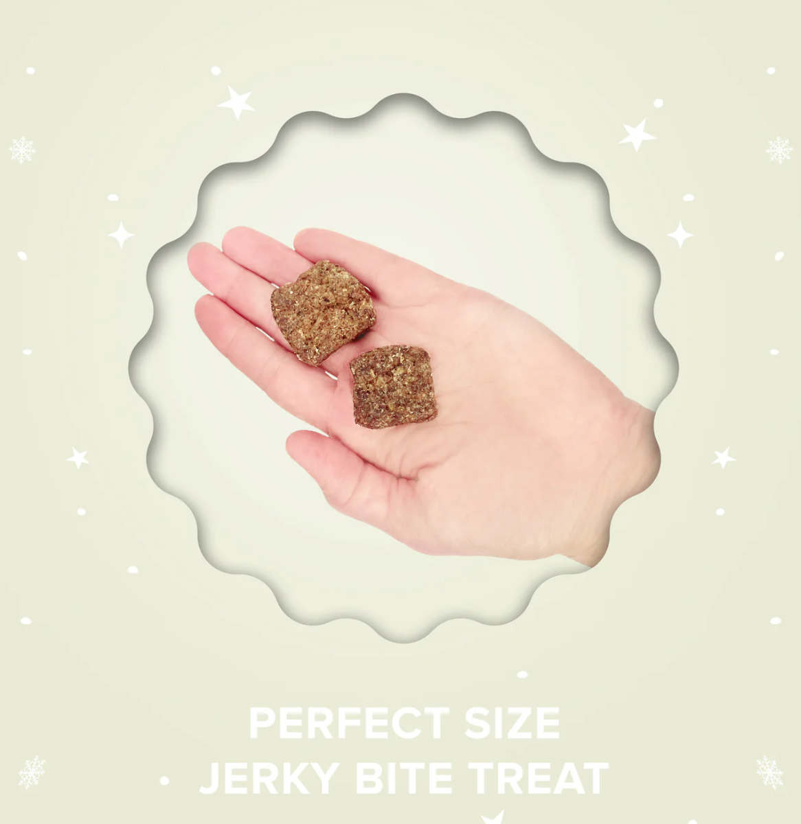 Plato Pet | Santa's Cookies