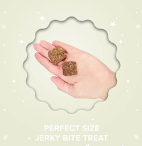 Plato Pet | Santa's Cookies