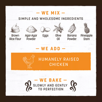 Earth Animal | No-Hide | Stix Value Pack