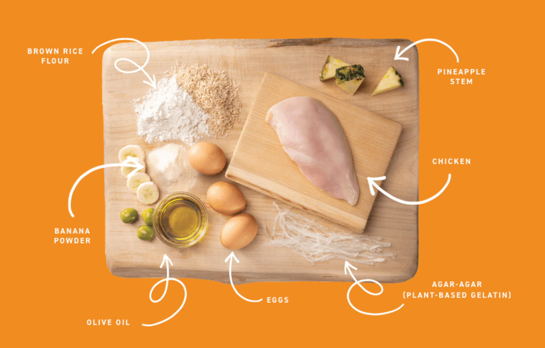 Earth Animal | No-Hide | 6-Roll Value Pack