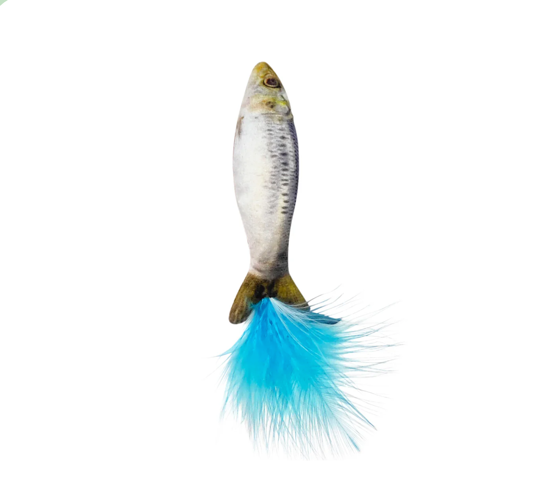 Cat playing with Huxley & Kent Sardine Cat Toy, showing the plush fish toy's realistic size and texture.