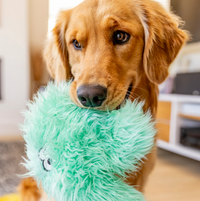 West Paw Rowdies Helga plush dog toy showing detailed stitching and durable fabric construction.
