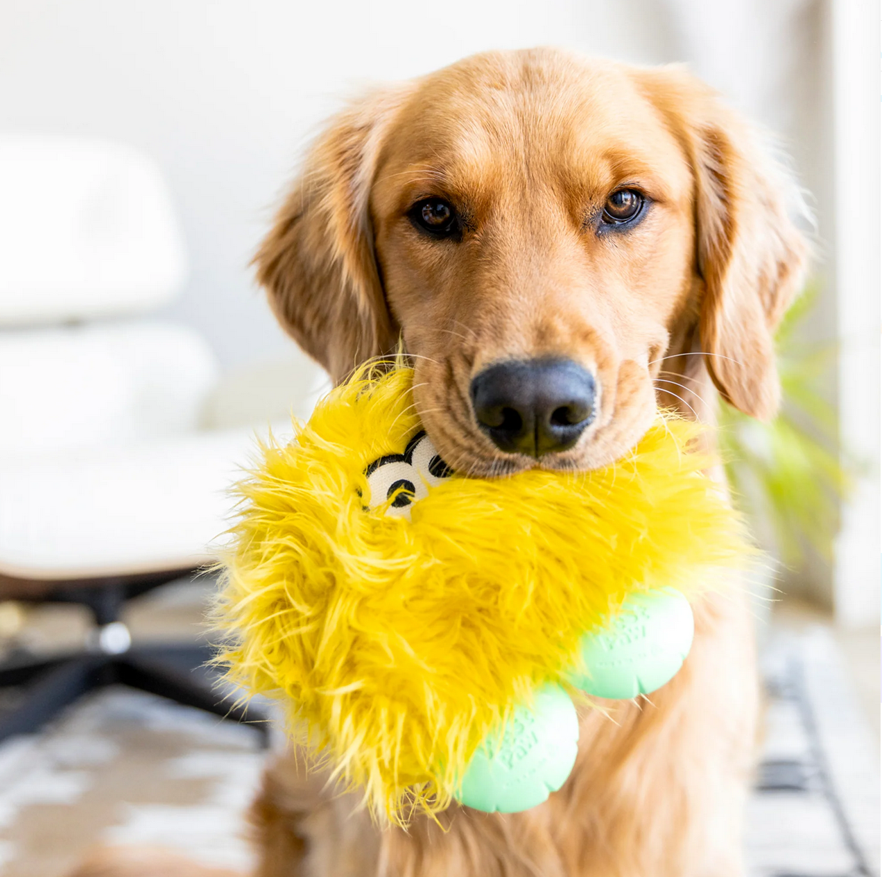 West Paw Rowdies Rolf plush dog toy showing detailed construction and durable stitching from side angle.