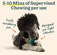 Woof Bite n' Brush Dental Refills packaging showing treat compatibility information and product details.