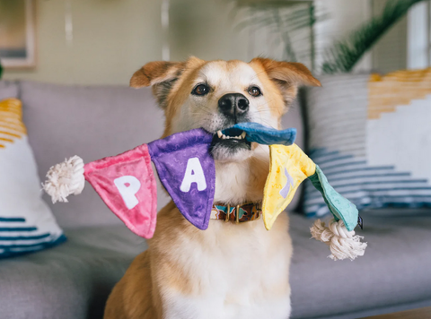 P.L.A.Y. Party Banner dog toy showing colorful pennant flags connected by rope in detail view.