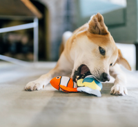 P.L.A.Y. Ocean Buddies Reef Retreat interactive dog toy set showing packaging details and product information.