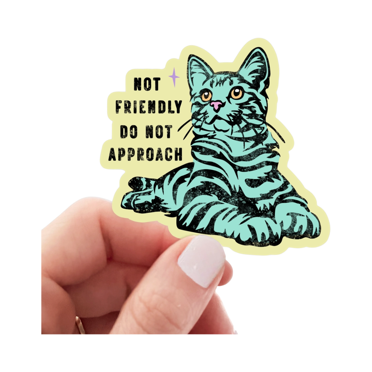 Sticker | Not Friendly Do Not Approach