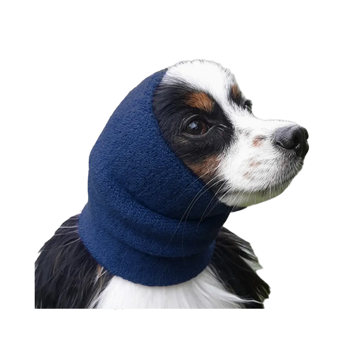 Pet Palette Distribution Happy Hoodie calming band for dogs displayed against a clean background.