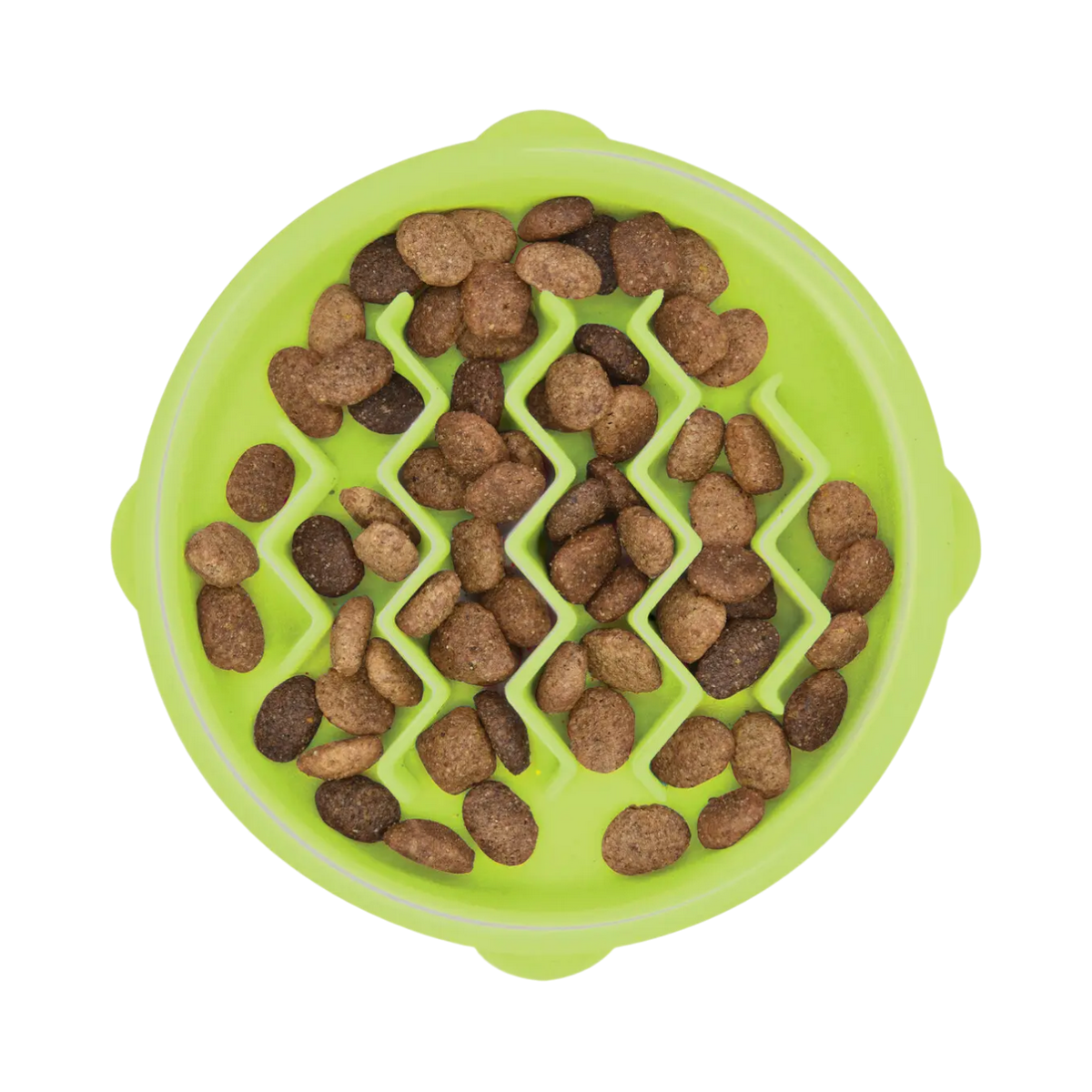 Catstages | Kitty Slow Feeder