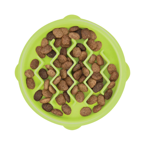 Catstages | Kitty Slow Feeder