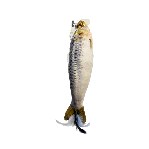 Sardine Kicker Cat Toy