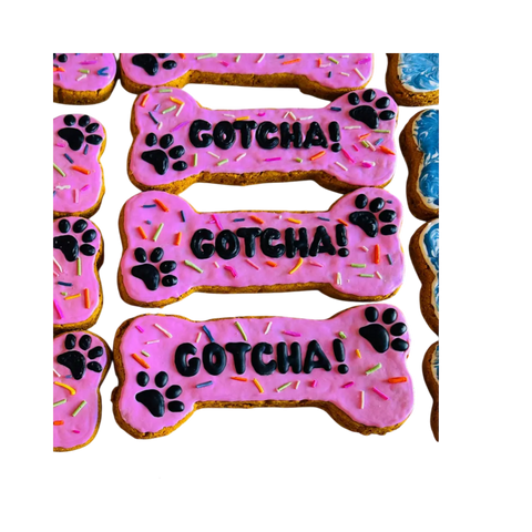 Large Gotcha Cookie