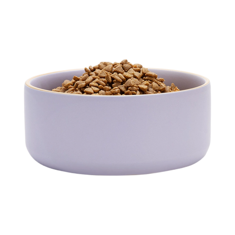Lavender Edge Bowl
