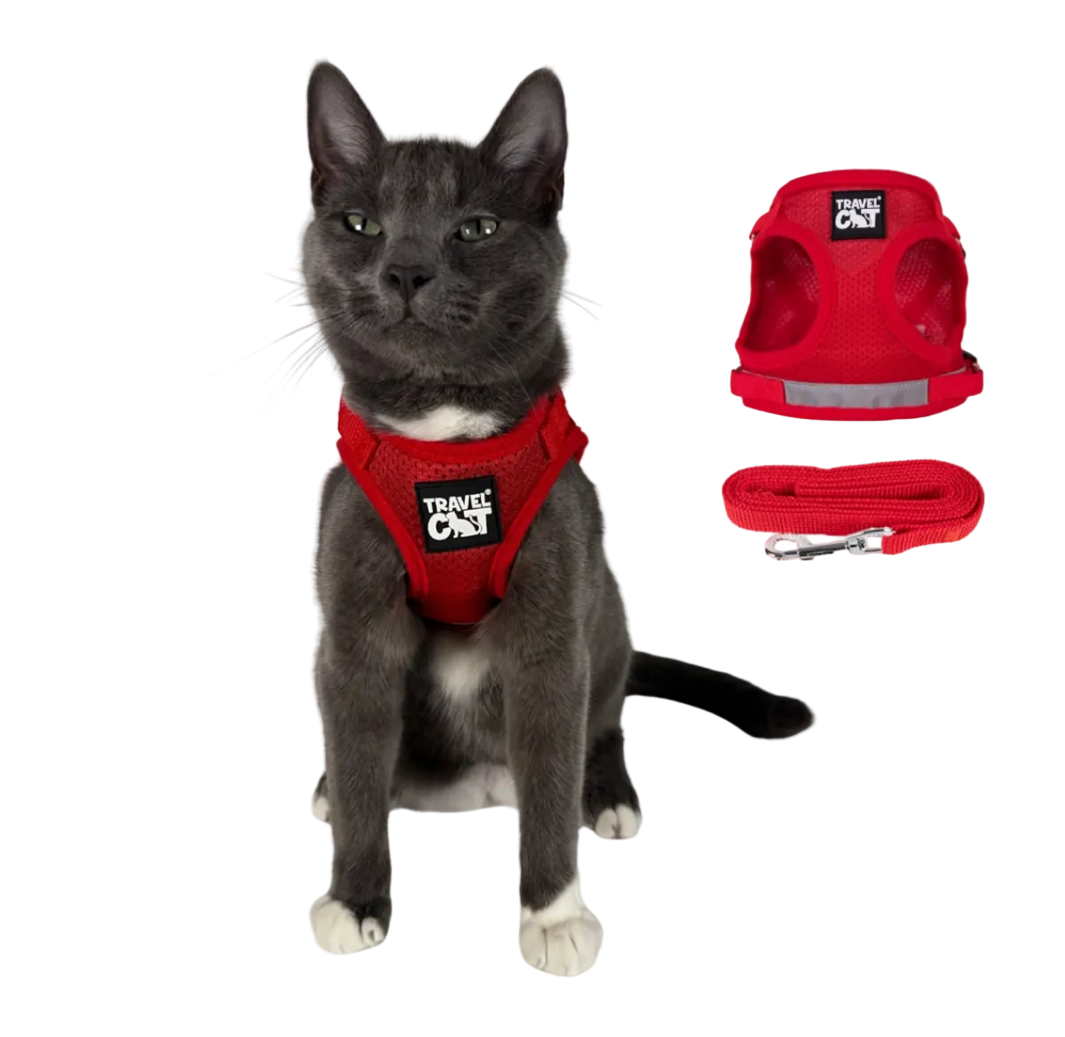 Travel Cat | Harness | True Adventurer Harness & Leash