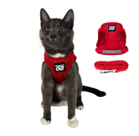 Travel Cat | Harness | True Adventurer Harness & Leash