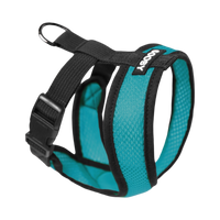 Gooby | Comfort X Head-In Harness | Turquoise
