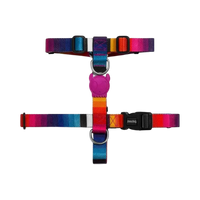 Zee.Dog H Harness in Prisma colorway, a vibrant multicolor patterned walking harness for dogs.