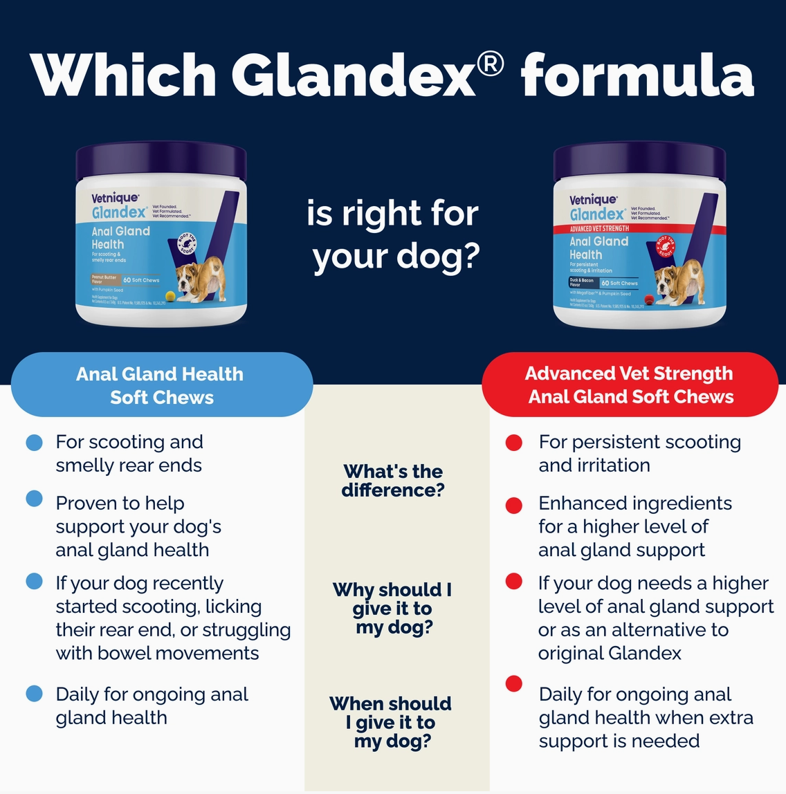 Glandex | Soft Chews | Bacon & Pumpkin 30ct