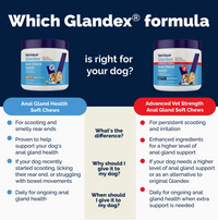 Glandex | Soft Chews | Bacon & Pumpkin 30ct
