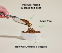 Open Farm | Grain Free | Beef