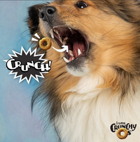 Fromm | Crunchy O's | Bacon Blasters
